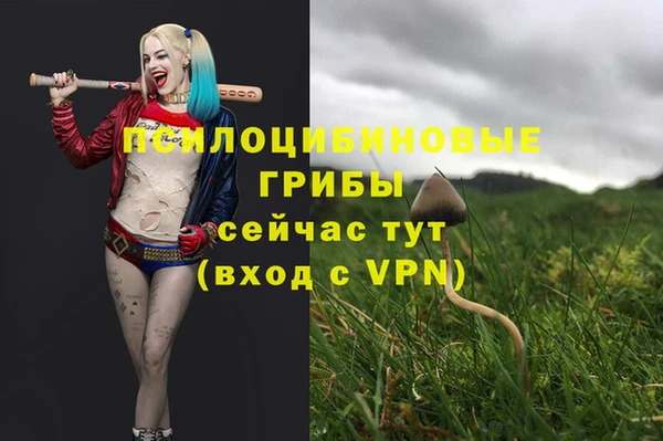 синтетический гашиш Арсеньев